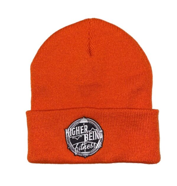 HIGHER BEING BEANIES