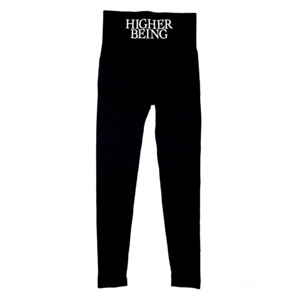 Seamless Leggings
